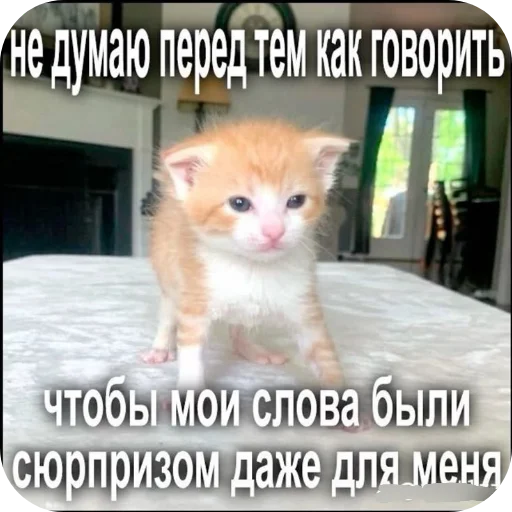 Эмодзи Гарант 3%