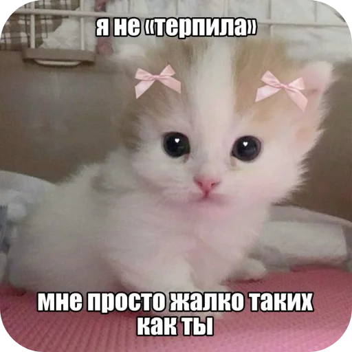 Эмодзи Гарант 3%