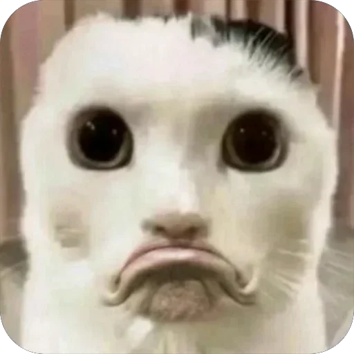 Эмодзи jvhjcm 5t 4iv 6 89f 678 by Tg Emodzi Bot