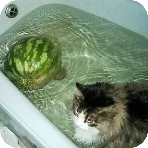 Эмодзи Shao