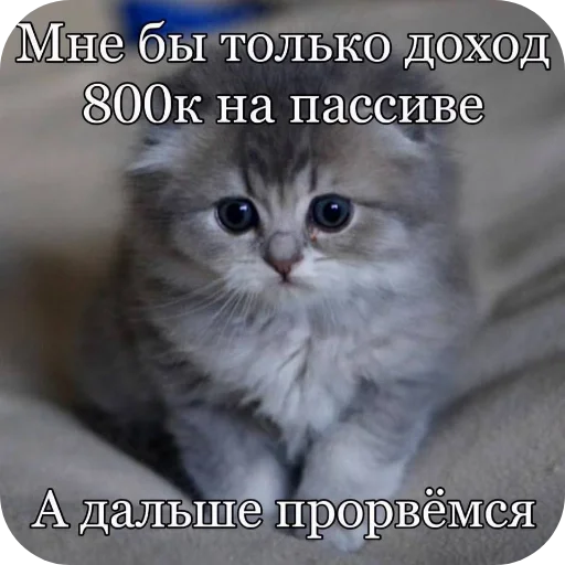 Эмодзи Shao
