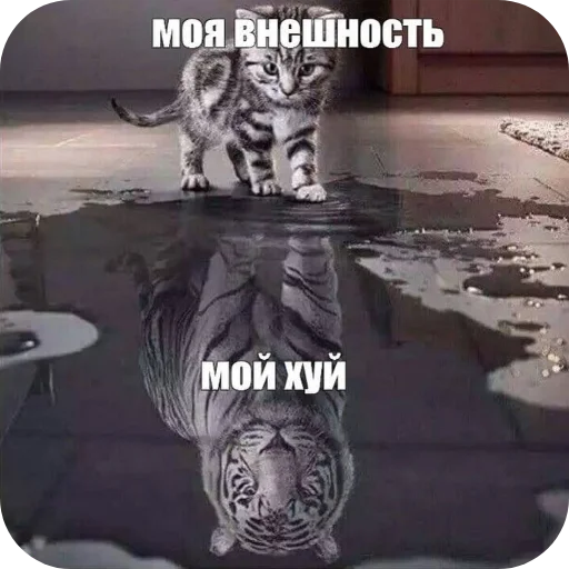 Эмодзи Shao