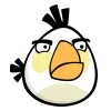 🐦