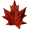 🍁