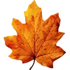 Эмодзи Autumn