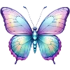 🦋