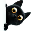 👀