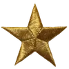 🌟