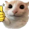 🐈