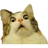 Эмодзи Кошки