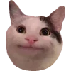 Эмодзи Кошки