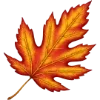 🍁