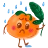 🍊