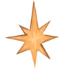 🌟