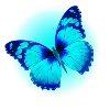 🦋