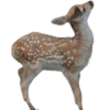 🦌