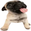 😛