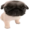 😮