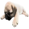 Эмодзи Doggy