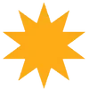 🌟