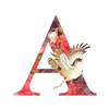 1️⃣
