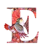 5️⃣