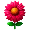 🌷