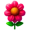 🌺