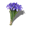 ?
