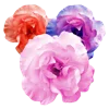 Эмодзи Flowers