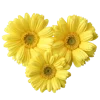 Эмодзи Flowers