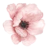 🌸