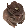 🤠