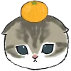 🍊