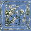 Эмодзи Glass Blocks and Tiles