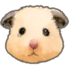 ?