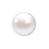 🦪