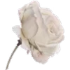 🥀