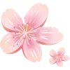 🌸