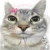 Эмодзи Коты