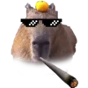 Эмодзи ? Capybara ?