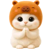 🙏