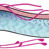 🐟