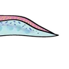 🐟