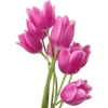 Эмодзи ?8 March