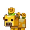 ?