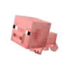 🐷