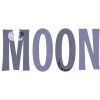 🌑