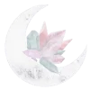 🌙