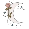 🌙